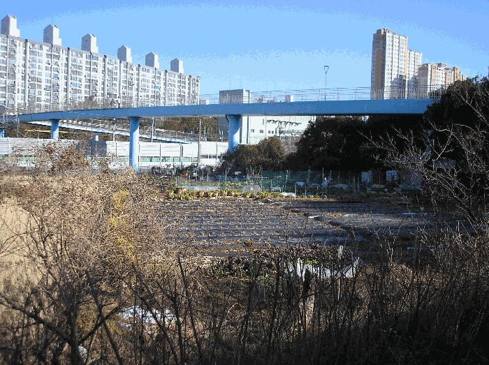 전라남도 순천시 연향동 317-6 답 경매 사진 3