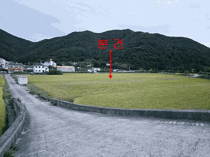 경상남도 거제시 연초면 연사리 137-5 답 경매 사진 3
