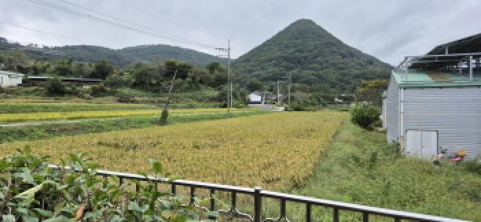 경상남도 고성군 개천면 청광리 555 답 경매 사진 5
