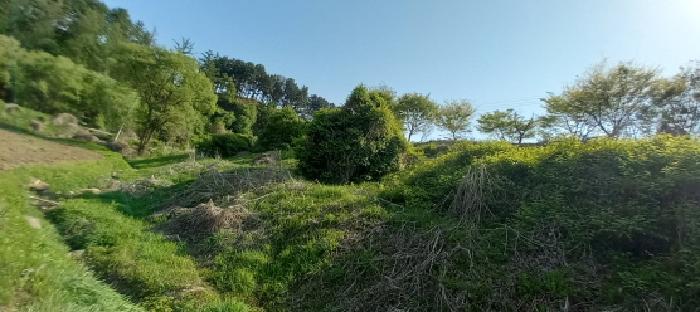 경기도 연천군 전곡읍 은대리 795 전 경매 사진 14