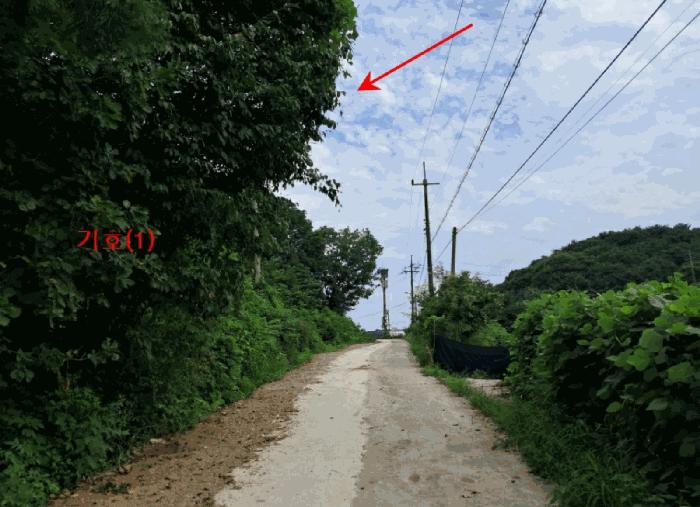 경기도 연천군 전곡읍 늘목리 496-2 임야 경매 사진 12