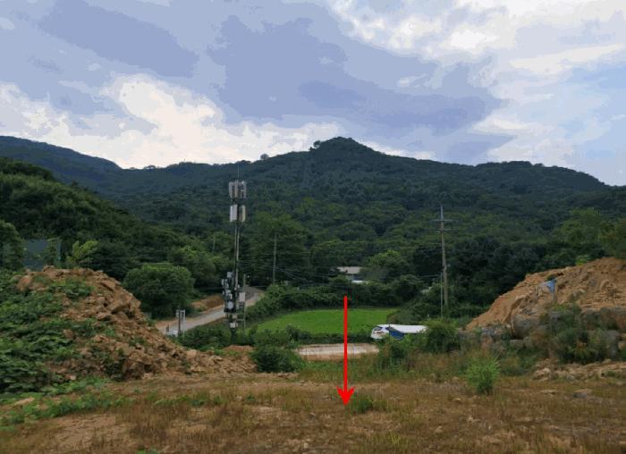 경기도 연천군 전곡읍 늘목리 496-2 임야 경매 사진 14