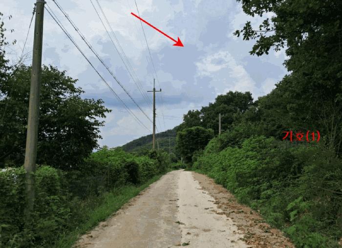 경기도 연천군 전곡읍 늘목리 496-2 임야 경매 사진 15