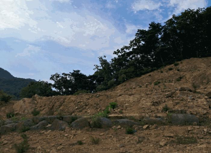 경기도 연천군 전곡읍 늘목리 496-2 임야 경매 사진 17