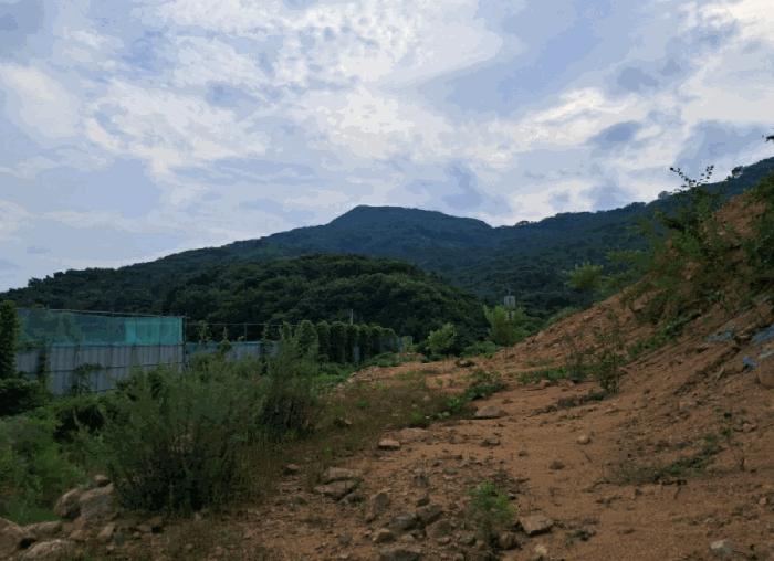 경기도 연천군 전곡읍 늘목리 496-2 임야 경매 사진 19