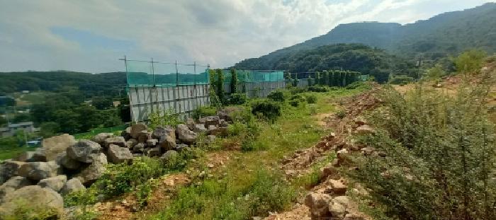 경기도 연천군 전곡읍 늘목리 496-2 임야 경매 사진 38