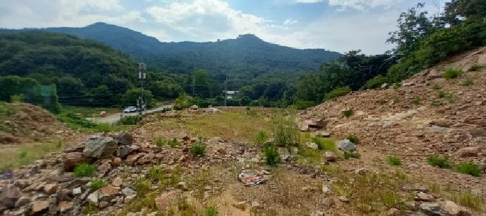 경기도 연천군 전곡읍 늘목리 496-2 임야 경매 사진 40