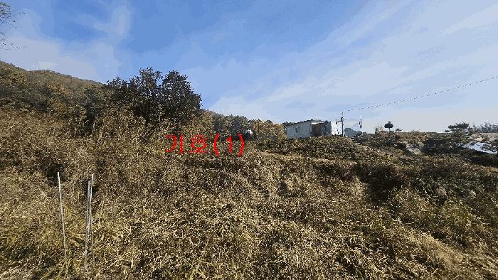 경기도 포천시 신북면 가채리 476 전 경매 사진 2