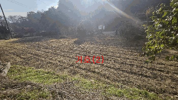 경기도 포천시 신북면 가채리 476 전 경매 사진 4