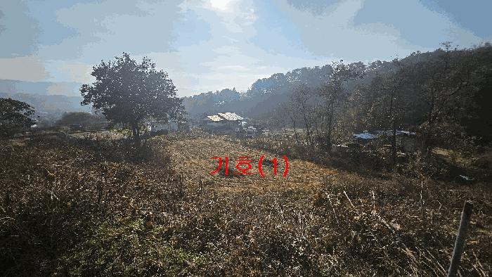 경기도 포천시 신북면 가채리 597-1 답 경매 사진 1
