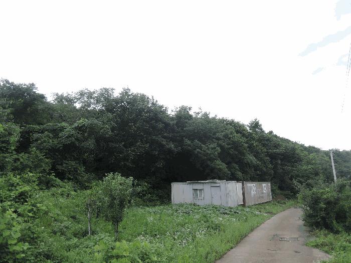 충청남도 보령시 화산동 산105-16 임야 경매 사진 1