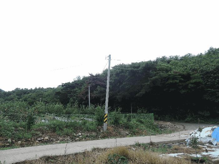 충청남도 보령시 화산동 산105-16 임야 경매 사진 5