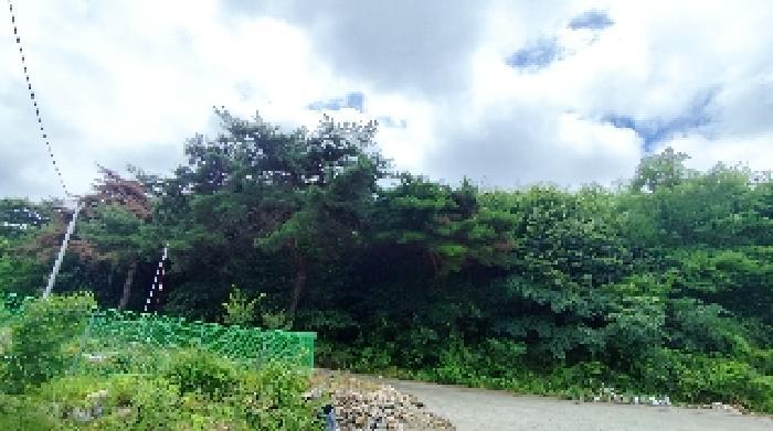 충청남도 보령시 화산동 산105-16 임야 경매 사진 8