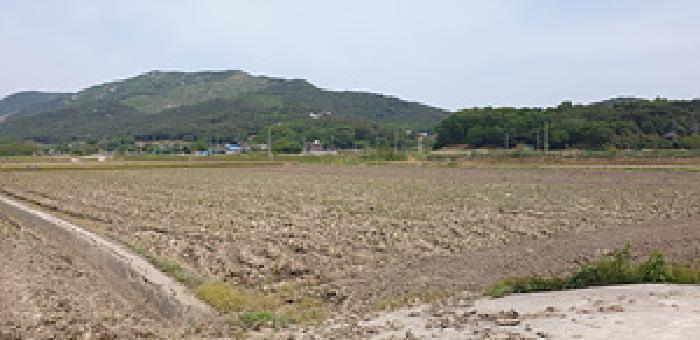 충청남도 예산군 덕산면 외라리 186 대지 경매 사진 16