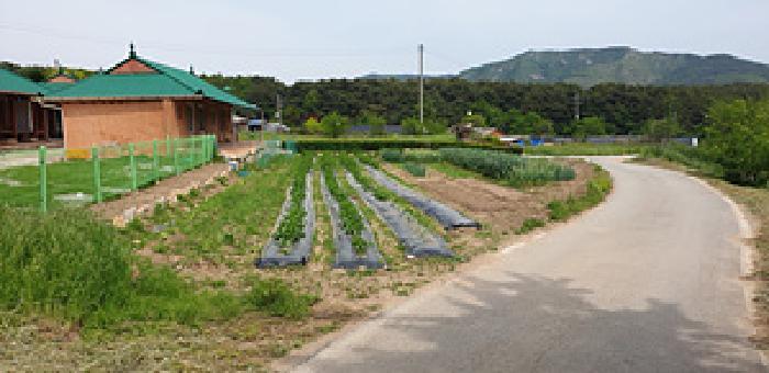 충청남도 예산군 덕산면 외라리 186 대지 경매 사진 18