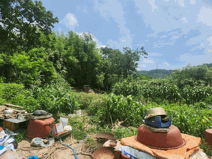 충청남도 보령시 대지