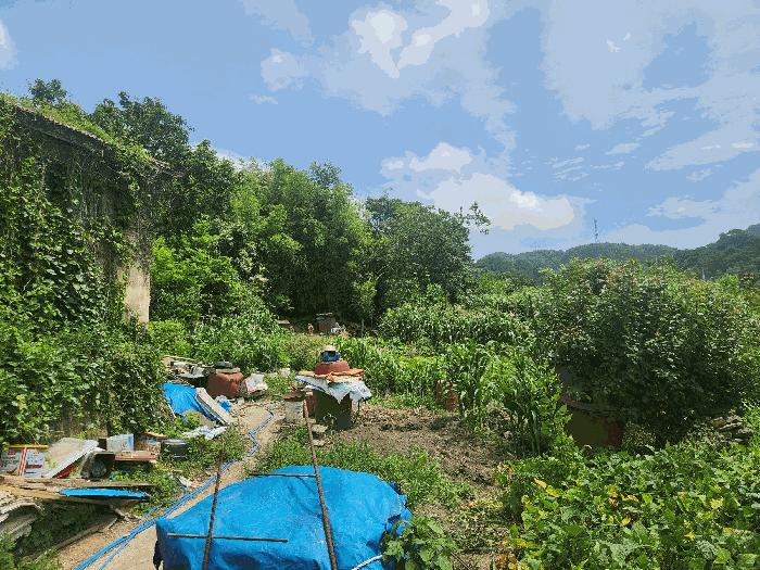 충청남도 보령시 오천면 소성리 572 대지 경매 사진 2