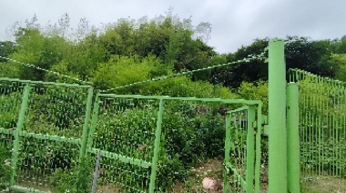 충청남도 보령시 오천면 소성리 572 대지 경매 사진 3