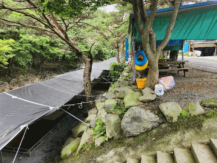 충청남도 보령시 성주면 성주리 65-25 펜션(캠핑장) 경매 사진 5