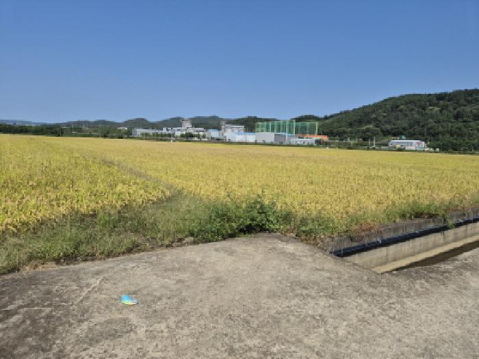 경상북도 경주시 건천읍 천포리 356 답 경매 사진 2