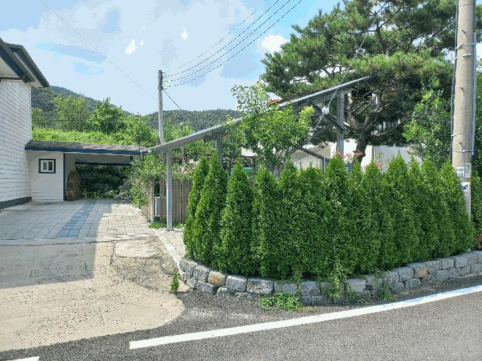 충청남도 아산시 도고면 신유리 336-3 주택 경매 사진 11