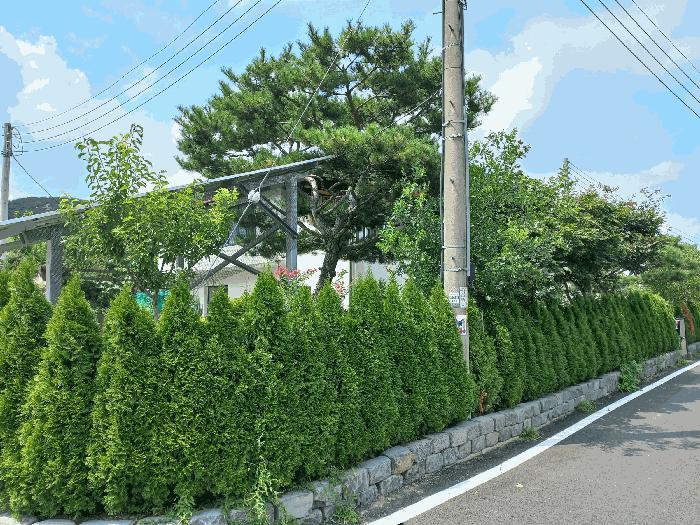 충청남도 아산시 도고면 신유리 336-3 주택 경매 사진 13