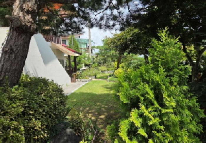 충청남도 아산시 도고면 신유리 336-3 주택 경매 사진 31