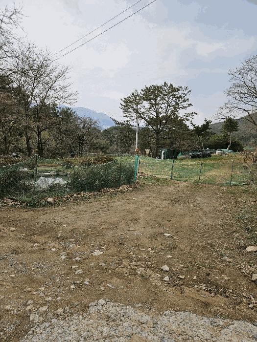 부산광역시 기장군 정관읍 두명리 산95-9 임야 경매 사진 12