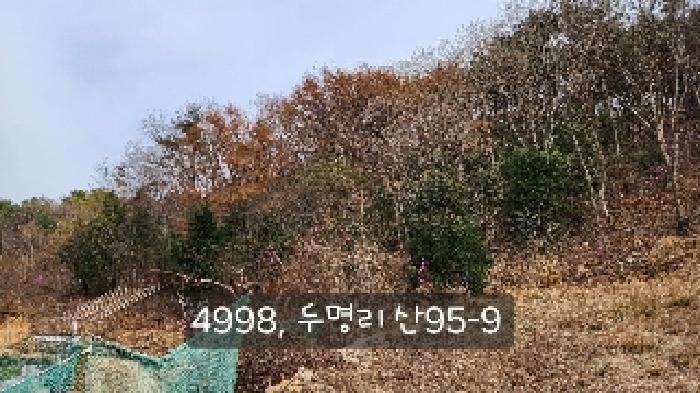 부산광역시 기장군 정관읍 두명리 산95-9 임야 경매 사진 21