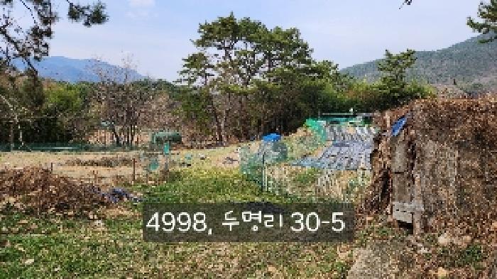 부산광역시 기장군 정관읍 두명리 산95-9 임야 경매 사진 26