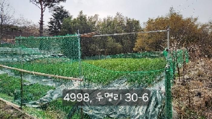 부산광역시 기장군 정관읍 두명리 산95-9 임야 경매 사진 36