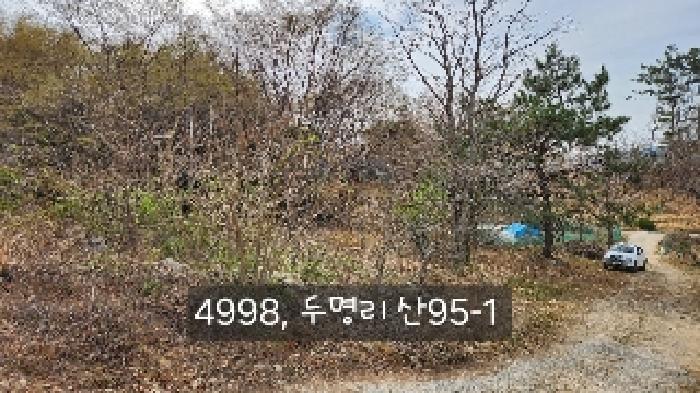 부산광역시 기장군 정관읍 두명리 산95-9 임야 경매 사진 40