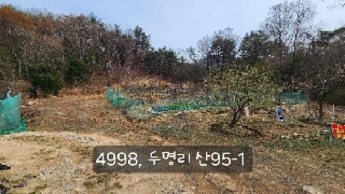 부산광역시 기장군 정관읍 두명리 산95-9 임야 경매 사진 42