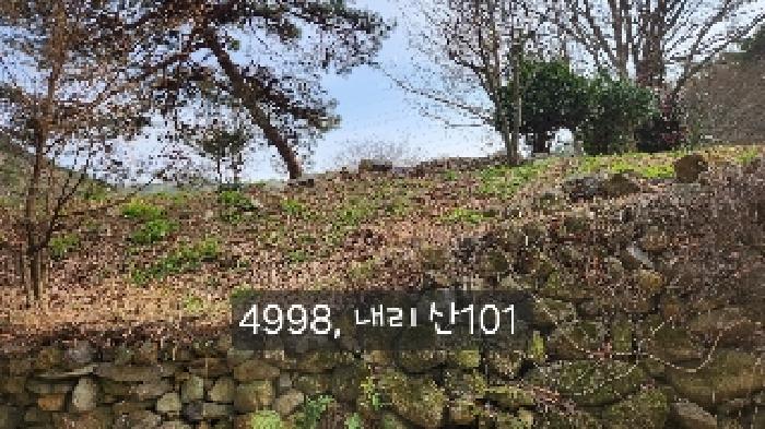 부산광역시 기장군 정관읍 두명리 산95-9 임야 경매 사진 46
