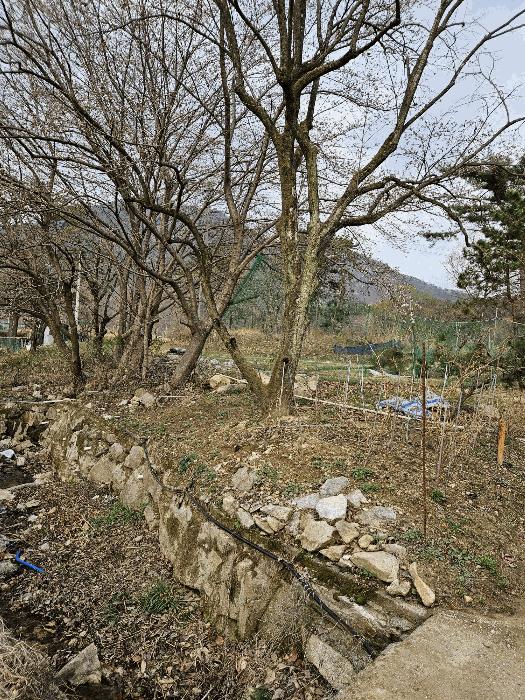 부산광역시 기장군 기장읍 내리 산101 임야 경매 사진 1