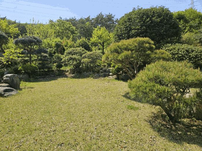 부산광역시 기장군 기장읍 내리 산101 임야 경매 사진 16