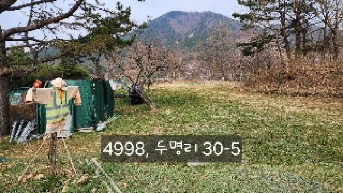 부산광역시 기장군 기장읍 내리 산101 임야 경매 사진 17