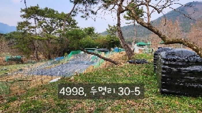 부산광역시 기장군 기장읍 내리 산101 임야 경매 사진 18