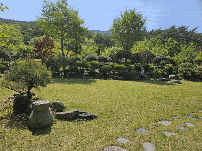 부산광역시 기장군 기장읍 내리 산101 임야 경매 사진 2