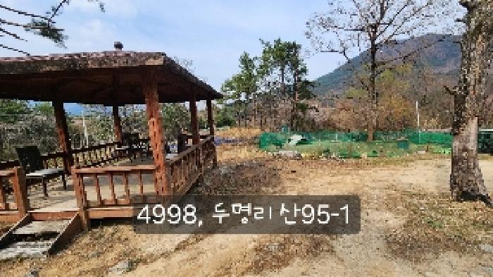 부산광역시 기장군 기장읍 내리 산101 임야 경매 사진 20
