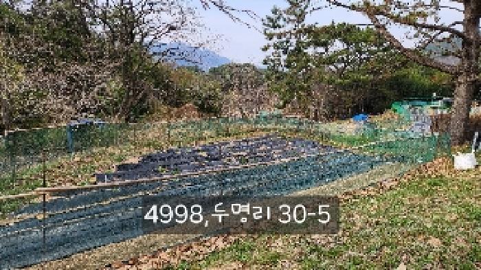 부산광역시 기장군 기장읍 내리 산101 임야 경매 사진 22