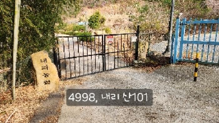 부산광역시 기장군 기장읍 내리 산101 임야 경매 사진 24