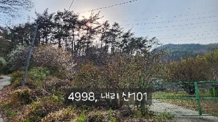 부산광역시 기장군 기장읍 내리 산101 임야 경매 사진 25