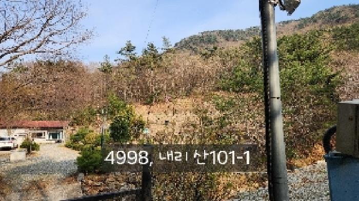 부산광역시 기장군 기장읍 내리 산101 임야 경매 사진 27