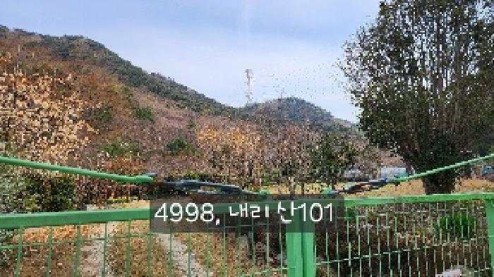 부산광역시 기장군 기장읍 내리 산101 임야 경매 사진 28