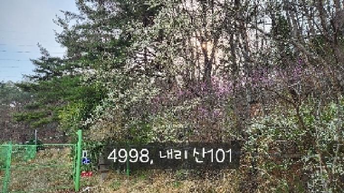 부산광역시 기장군 기장읍 내리 산101 임야 경매 사진 33