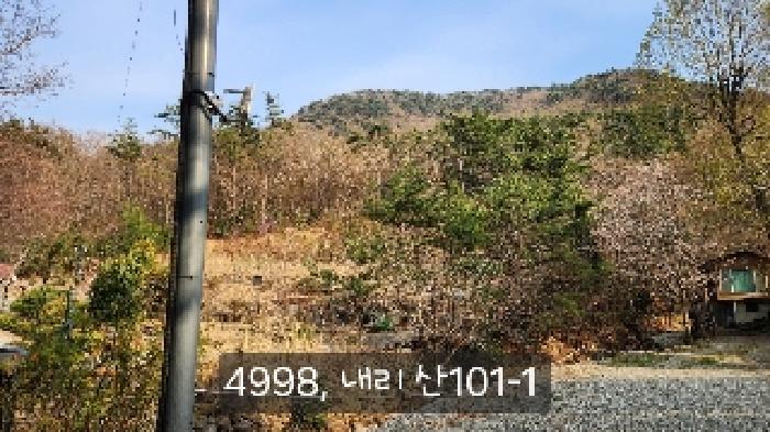 부산광역시 기장군 기장읍 내리 산101 임야 경매 사진 34