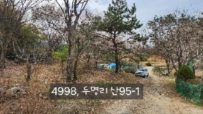 부산광역시 기장군 기장읍 내리 산101 임야 경매 사진 41