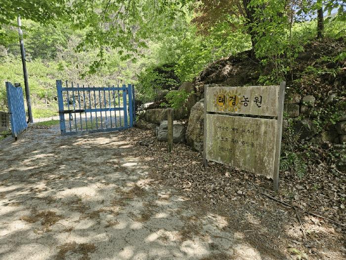 부산광역시 기장군 기장읍 내리 산101 임야 경매 사진 8