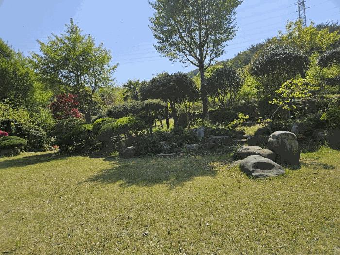 부산광역시 기장군 기장읍 내리 산101 임야 경매 사진 9